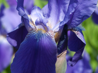 Similar image 166982