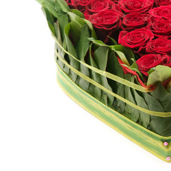 Similar image 166987