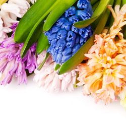 Similar image 166999