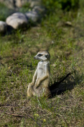 Similar image 167084