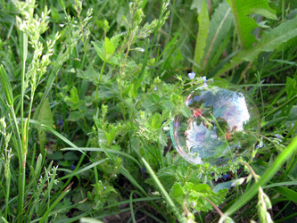 Similar image 167097