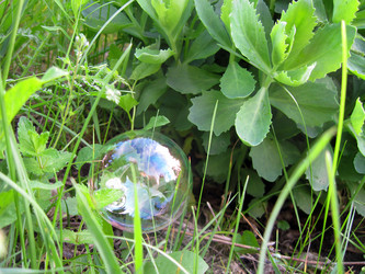 Similar image 167098