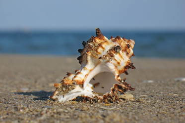 Similar image 167122