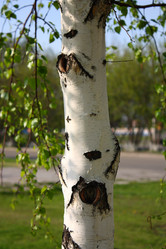 Similar image 167124