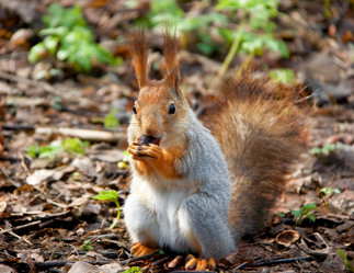 Similar image 167139