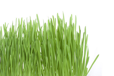 Similar image 167145