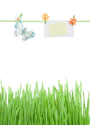 Similar image 167148