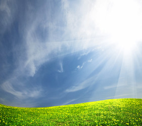 Similar image 167216