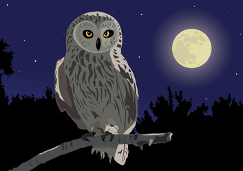 Similar image 167246