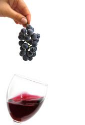 Similar image 167253