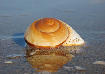 Similar image 167270