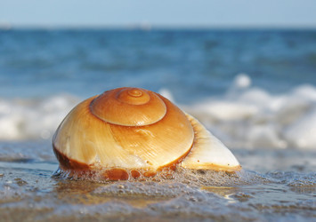 Similar image 167273