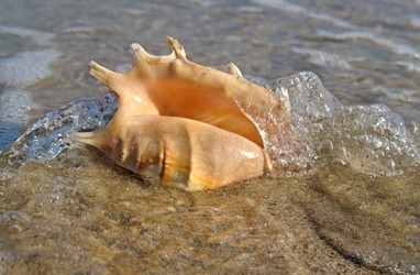 Similar image 167275