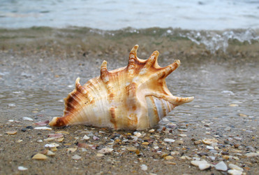 Similar image 167279