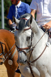 Similar image 167331