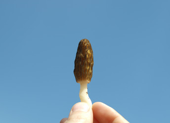 Similar image 167347