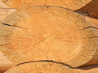 Similar image 167350