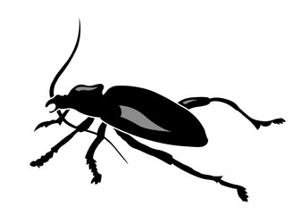 Similar image 167381