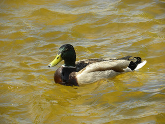 Similar image 167421