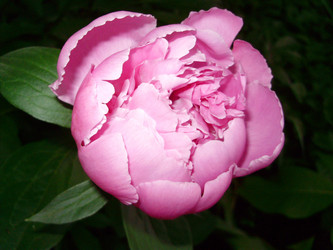 Similar image 167479