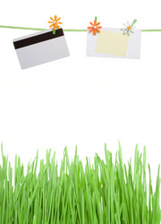 Similar image 167480