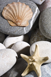 Similar image 167481