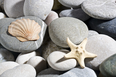 Similar image 167482