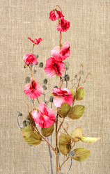 Similar image 167486