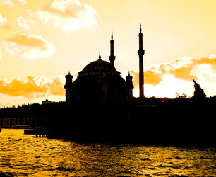 Similar image 167496