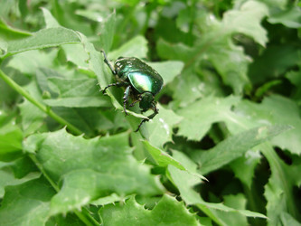 Similar image 167522