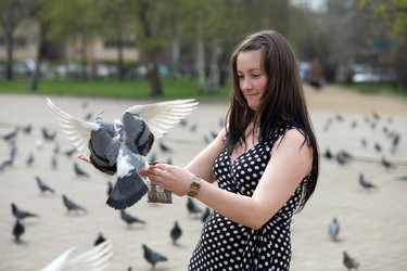 Similar image 167525