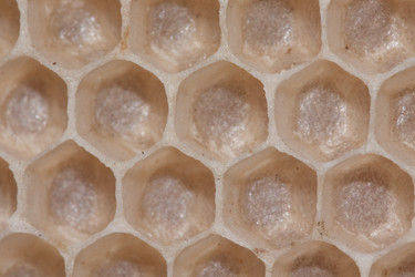 Similar image 167527