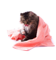 Similar image 167535