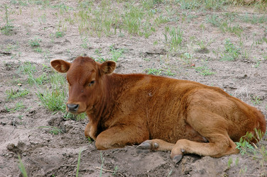 Similar image 167537