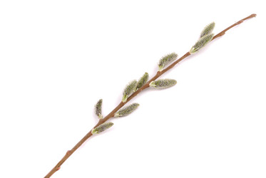 Similar image 167548