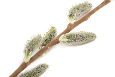 Similar image 167549