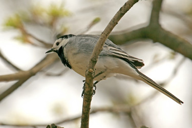 Similar image 167555