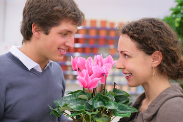 Similar image 167576