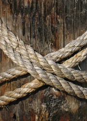 Similar image 167594