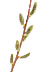 Similar image 167622