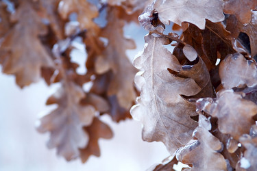 Similar image 167654