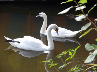 Similar image 167659