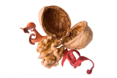 Similar image 167702