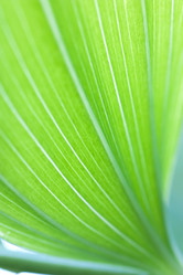 Similar image 167707