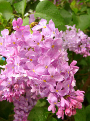 Similar image 167712