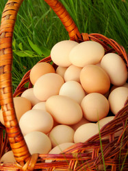 Similar image 167719