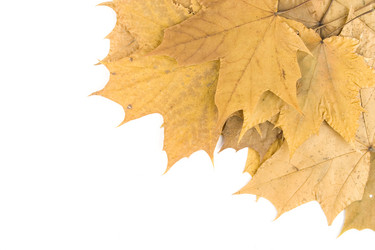 Similar image 167720