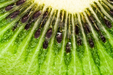 Similar image 167722