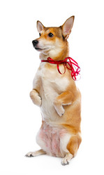 Similar image 167728