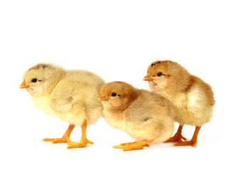 Similar image 167738